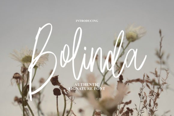 Bolinda: The Dazzling Script Font for Elegant Design
